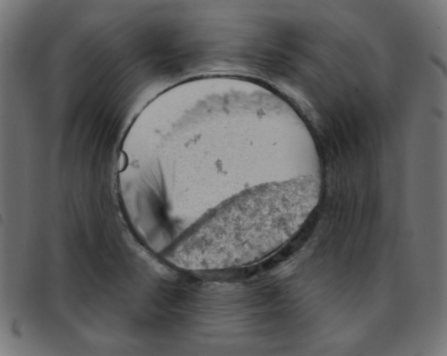 X0000096951374200803071019