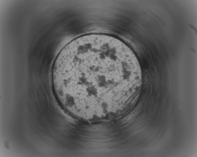 X0000096951375200803071019