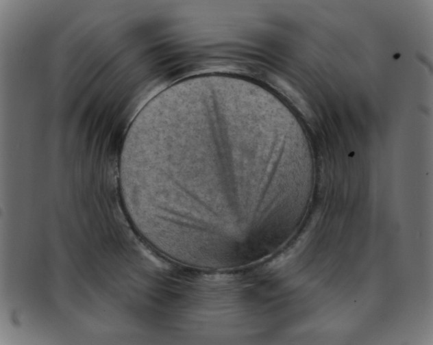 X0000096951377200803071018