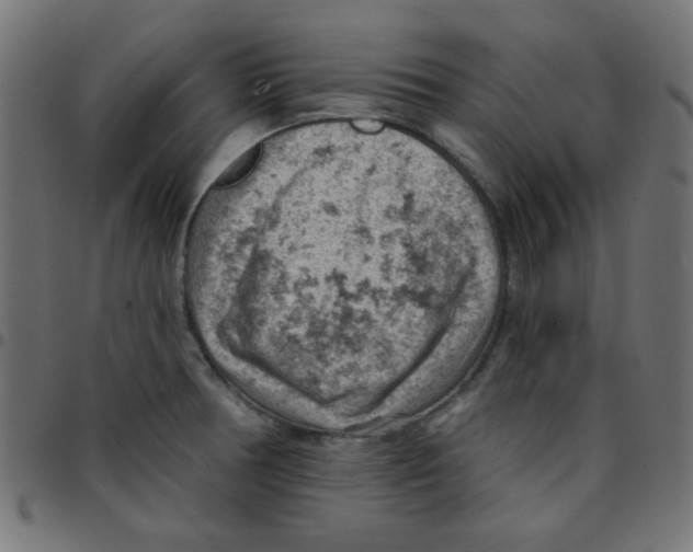 X0000096951378200803071018
