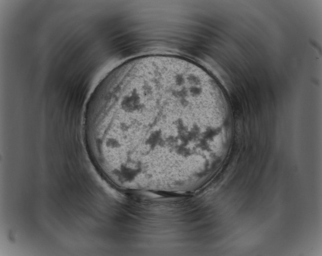 X0000096951379200803071018