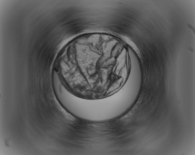 X0000096951380200803071018