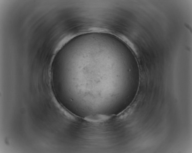 X0000096951381200803071018