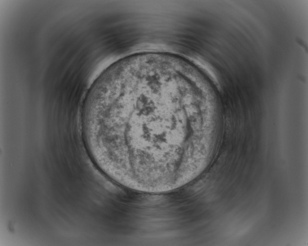 X0000096951382200803071018