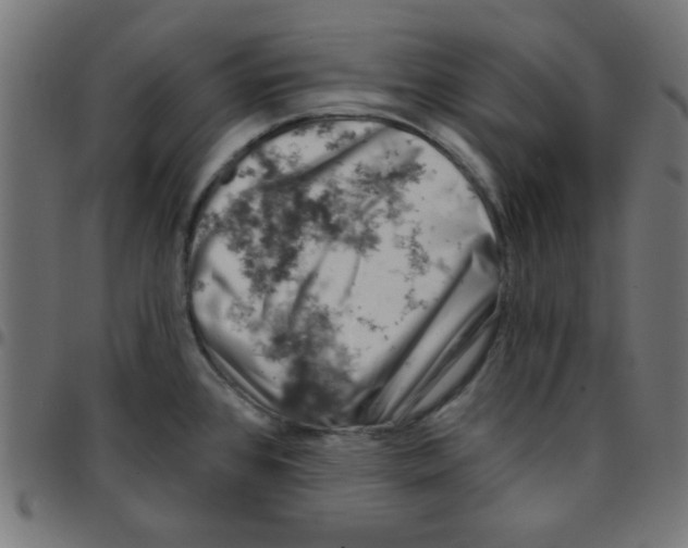 X0000096951384200803071018