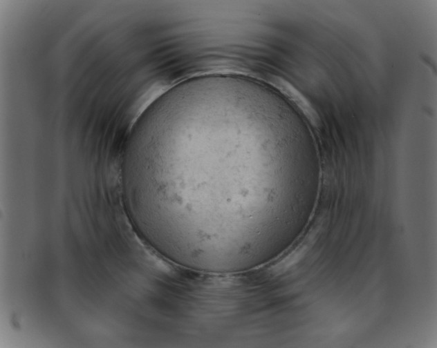 X0000096951385200803071018