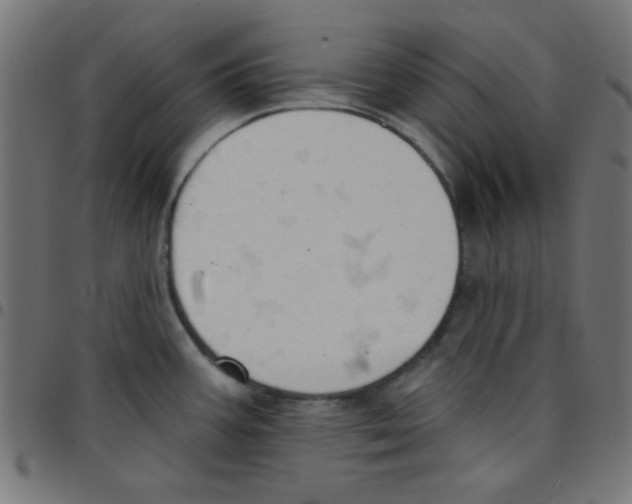X0000096951387200803071018