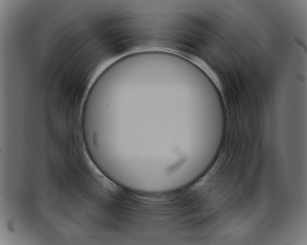 X0000096951388200803071018