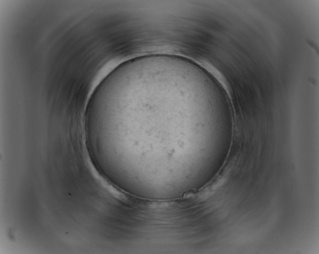 X0000096951389200803071018