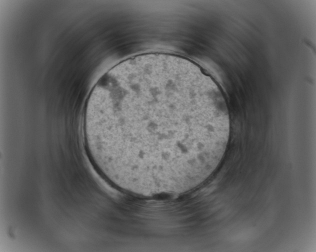 X0000096951391200803071018
