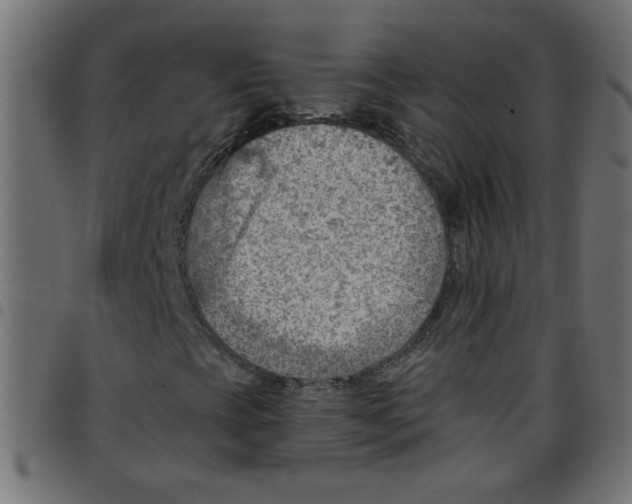 X0000096951393200803071018