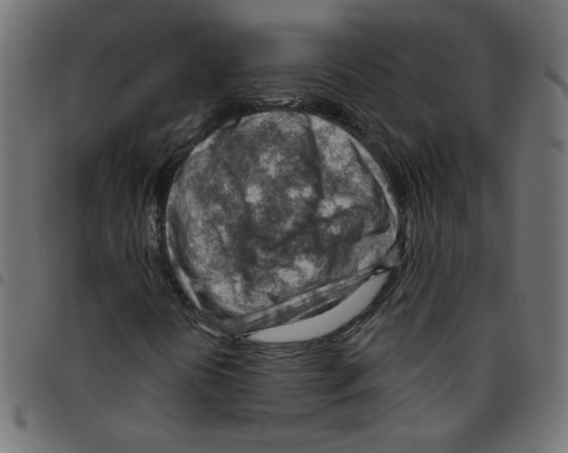 X0000096951394200803071018
