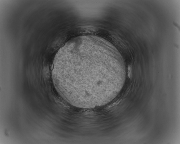 X0000096951395200803071018