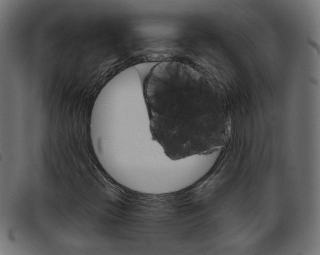 X0000096951396200803071018