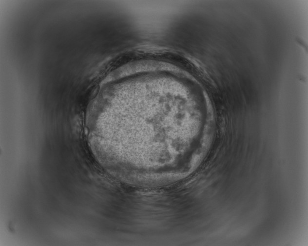 X0000096951397200803071018