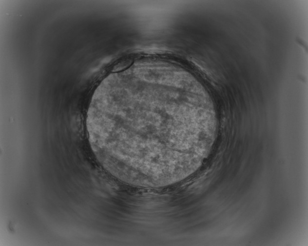 X0000096951398200803071018