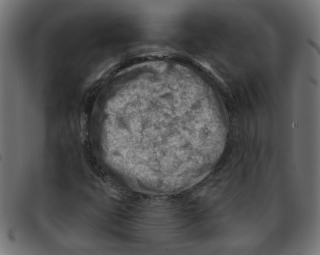 X0000096951399200803071018