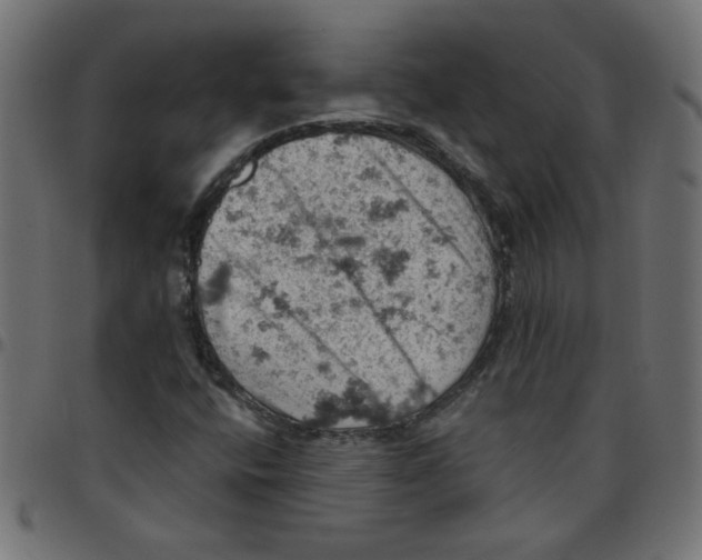 X0000096951400200803071018