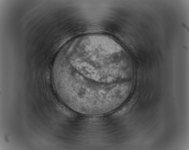 X0000096951401200803071018