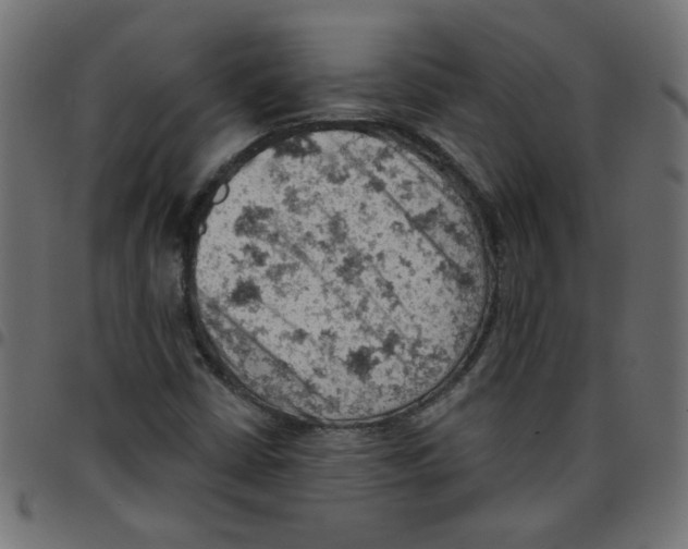 X0000096951402200803071018