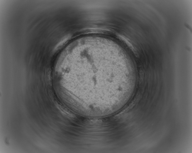 X0000096951403200803071018