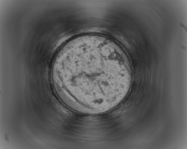 X0000096951404200803071018