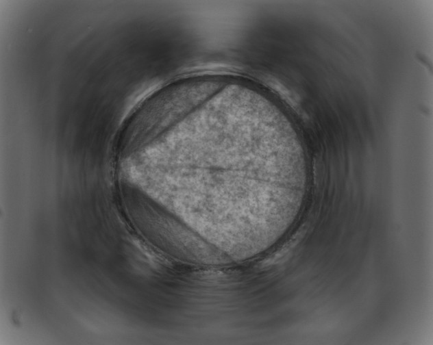X0000096951405200803071018