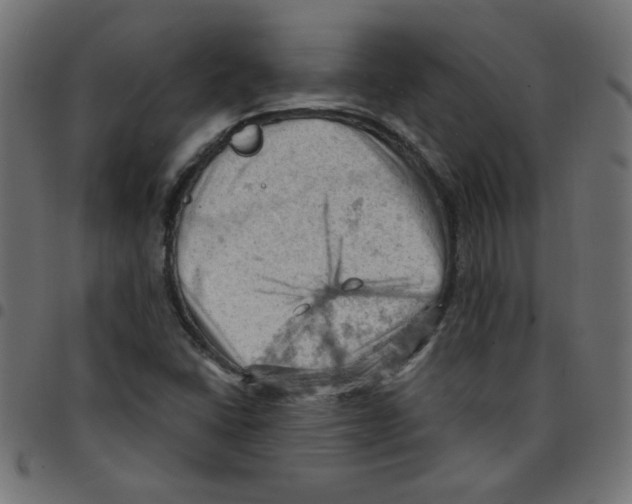 X0000096951406200803071018