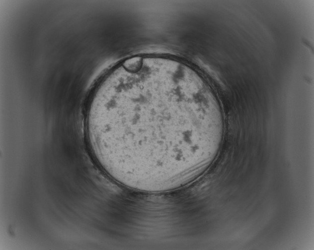 X0000096951408200803071018
