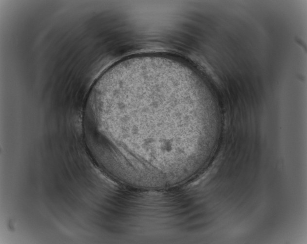 X0000096951409200803071018