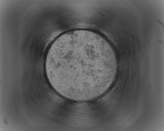X0000096951410200803071018