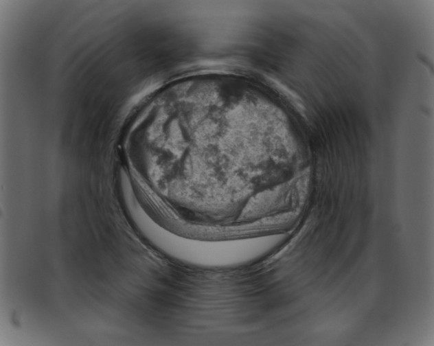 X0000096951411200803071018