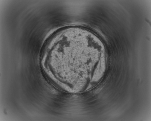 X0000096951412200803071018