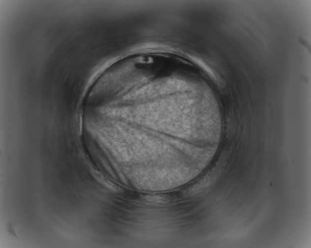 X0000096951413200803071018
