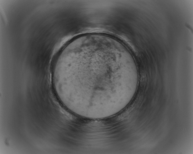 X0000096951414200803071018