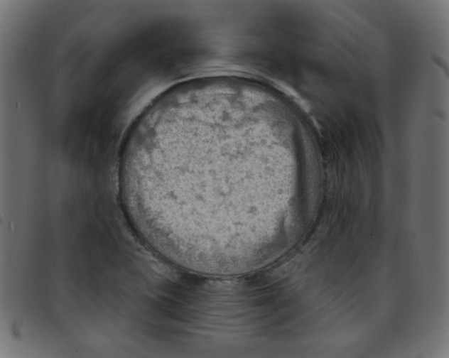 X0000096951415200803071018