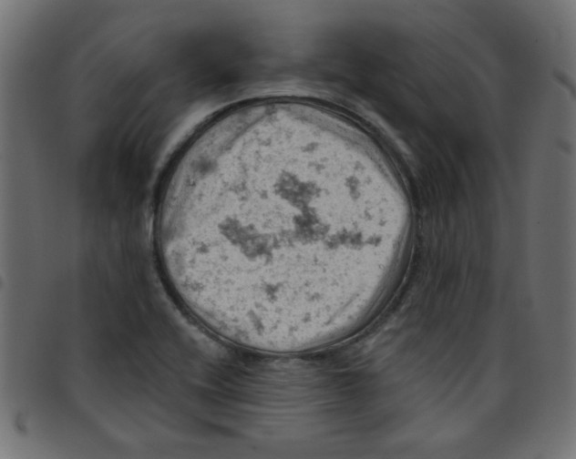 X0000096951416200803071018