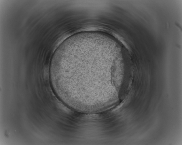 X0000096951417200803071018