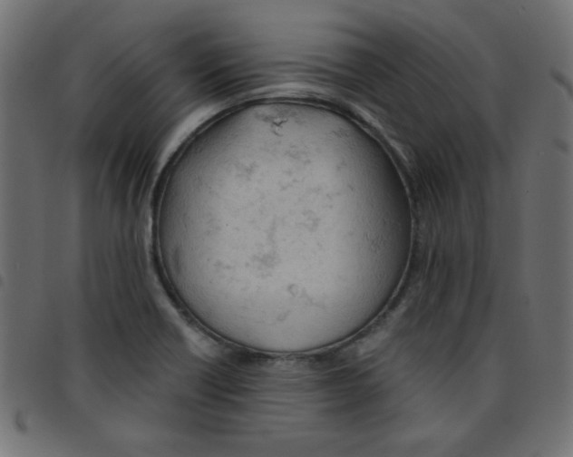 X0000096951418200803071018