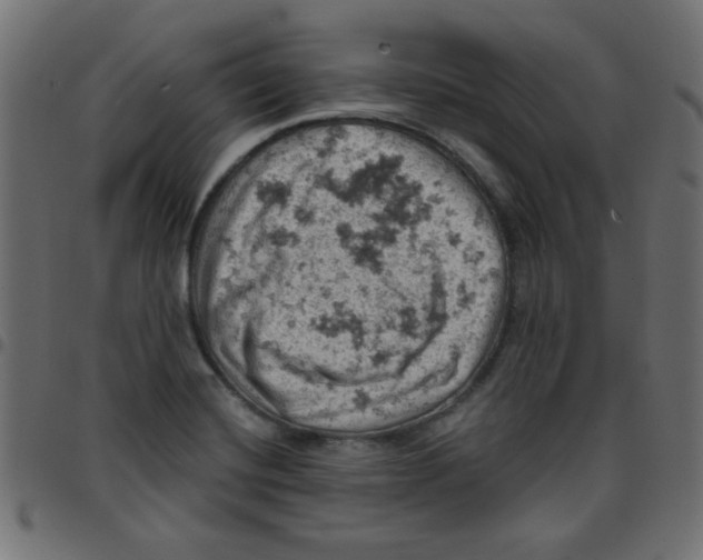 X0000096951420200803071018