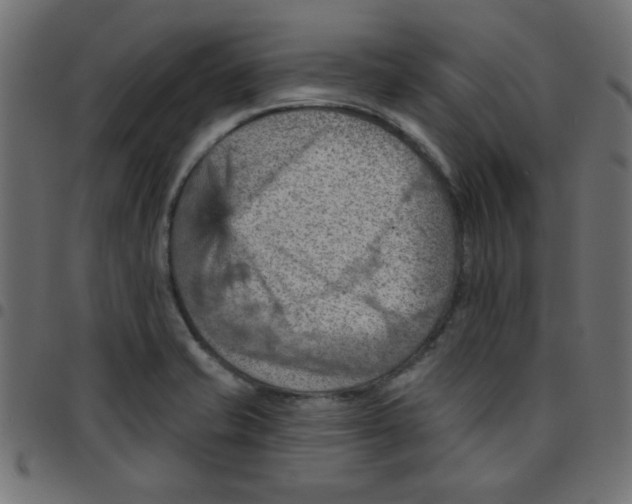 X0000096951421200803071018