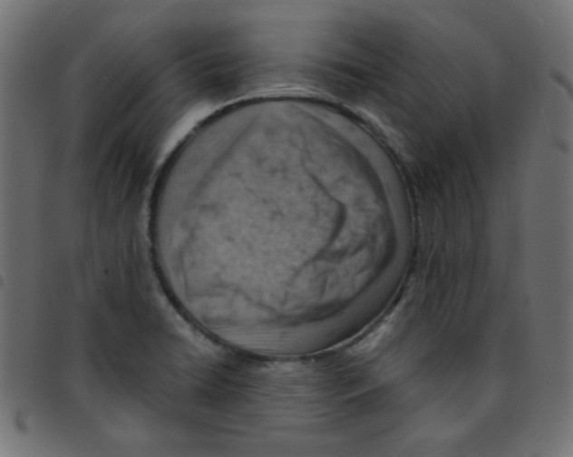 X0000096951422200803071018
