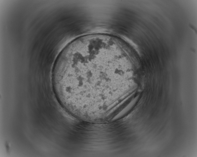 X0000096951423200803071018