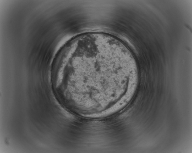 X0000096951424200803071018