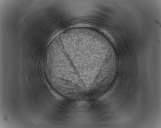 X0000096951425200803071018