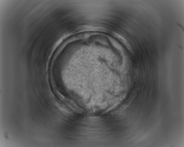 X0000096951427200803071018