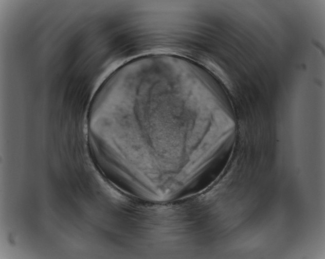 X0000096951428200803071018