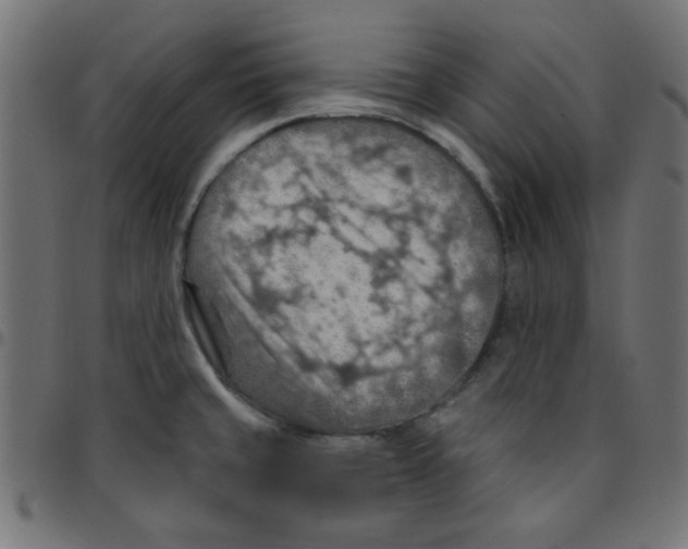 X0000096951429200803071018