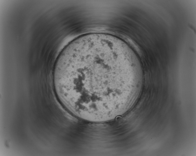 X0000096951432200803071018
