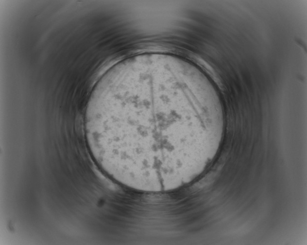X0000096951433200803071018